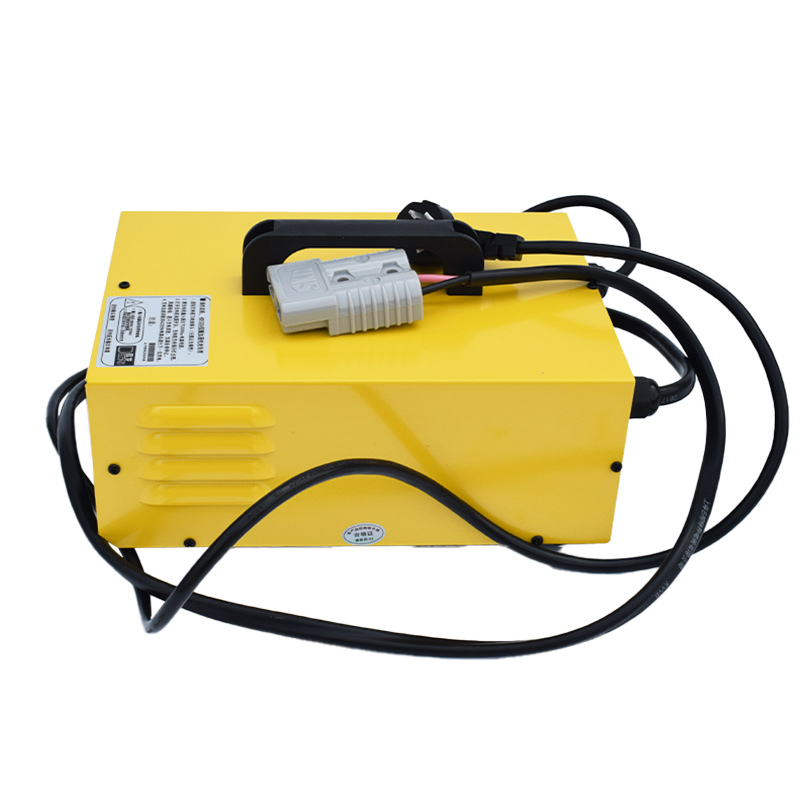 220V AC Input charger