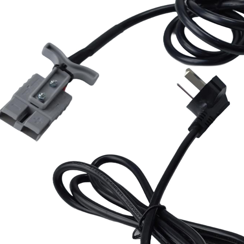 Pallet Truck Battery Charger